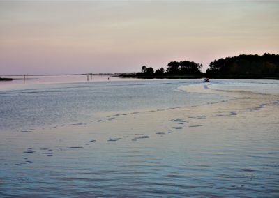 IMG_8479