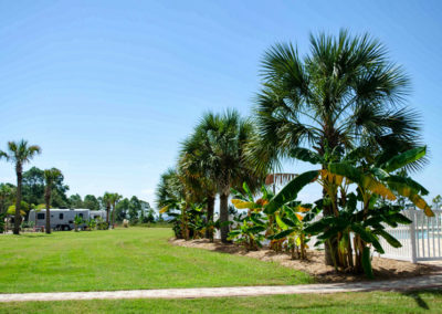 Park_1